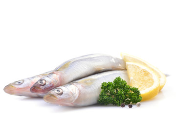 Smelt fish on white background