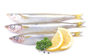 Smelt fish on white background