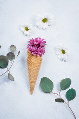 Flowers composition with waffle cones and chrysanthemum on white background. Still life Art Concept. Top view, flat lay
