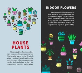 House plants and indoor flowers promotional vertical posters