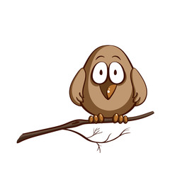 Funny Sparrow On White