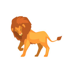 Formidable lion, wild predatory animal side view vector Illustration on a white background