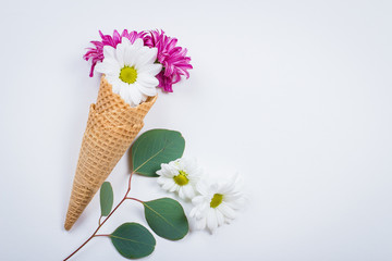 Flowers composition with eucalyptus leaves, waffle cones and chrysanthemum on white background. Still life Art Concept. Top view, flat lay, copy space