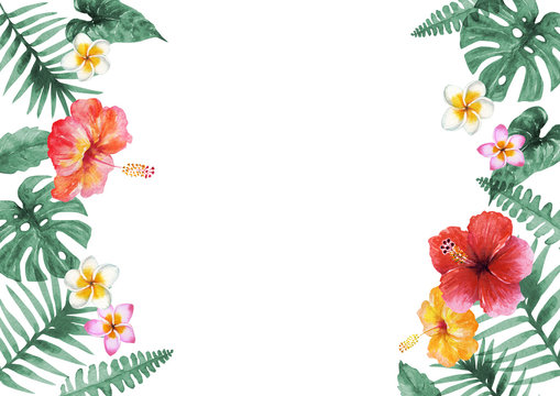 南国 ハワイ 植物フレーム 水彩 イラスト Stock イラスト Adobe Stock