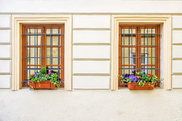 Flowers on the windowsill of the house