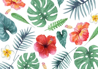  南国 ハワイ　植物 テキスタイル　水彩 イラスト © tada