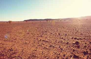 Sahara desert