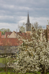 Fototapete bei efototapeten.de bestellen   