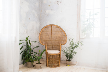 Wicker doll chair and a lot of greenery in the pot in the room with grey walls. Rattan chair and...