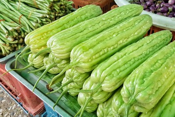 Bitter melon  is sold in the vegetable market in Bangkok. Momordica charantia L.