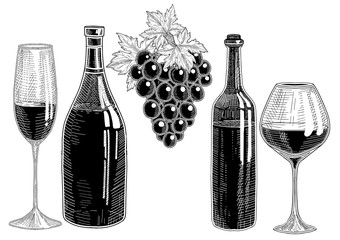 Set of wine bottles and glasses with grape wine and bunch of grapes.