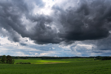 Fototapeta na wymiar Summer afternoon in countryside, Latvia.