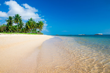 tropical beach in Sri Lanka . Summer holiday and vacation concept for tourism.