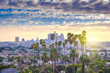 Beau coucher de soleil sur les toits du centre-ville de Los Angeles et palmiers en premier plan