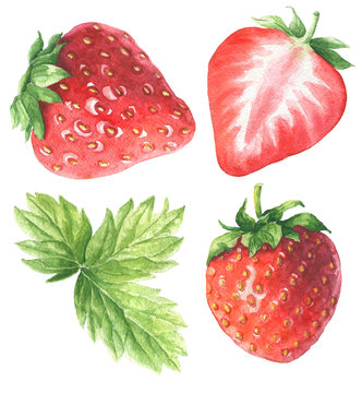 Hand drawn watercolor strawberry set  with green leaves, delicious food art isolated on white background.