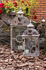 Garden composition in a decorative lantern. Garden decoration