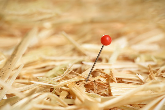 Closeup Of A Needle In Haystack