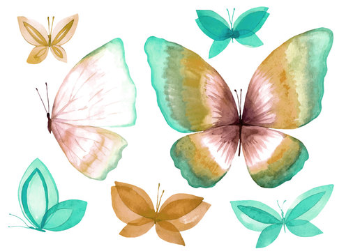 A collection of watercolor butterfly illustrations. © Artur