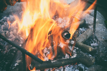 Fototapeta premium Burning firewood in the bonfire. Flames burning in the grill with smoke. Arson or natural disaster. Texture of fire and flame, dark background