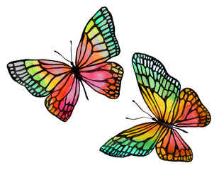Illustration of watercolor butterflies with a black outline.