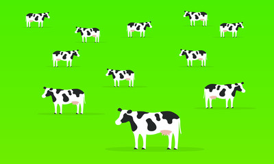 Group of cow in green background, animal illustrations.
