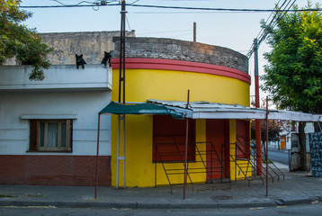 Two black dogs on roof of closed shop in Punta Alta, Argentina