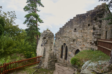 ruin of the Valdstejn gothic castle