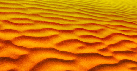 Fototapeta na wymiar in oman the old desert and the empty quarter abstract texture line wave