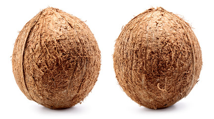 Coconut. Coconut isolated on white background. Full depth of field.