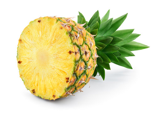 "Pineapple Leaf" Images – Browse 8 Stock Photos, Vectors, and Video