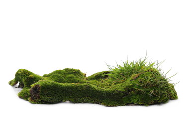 Green mossy hill and grass isolated on white background and texture