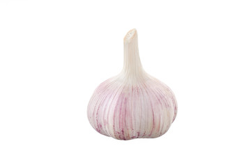 Fresh garlic head on white background isolated