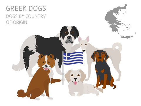Dogs by country of origin. Greek dog breeds. Infographic template
