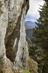 Planina Konjscica. Julian Alps. Slovenia