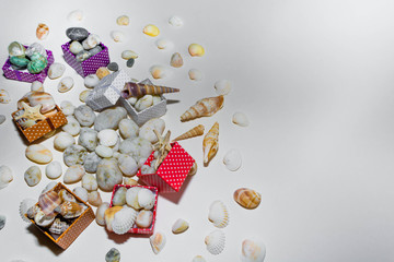Gifts and seashells