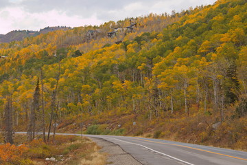 Fototapeta premium Beautiful autumn at Big Cottonwood Canyon Road near Salt Lake City in Utah in the USA 