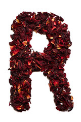 English alphabet. Letter R from dried flowers of hibiscus tea on a white background. Letters for banners, advertisements