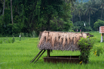 Abris à Bali