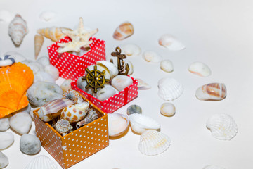 Gifts and seashells