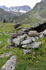 Fototapeta na wymiar felsbrocken in den alpen