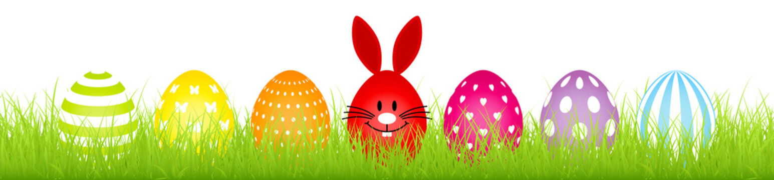 Banner Meadow Egg Bunny & Easter Egg White Pattern Color