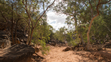 Homestead Gorge at Mutawintji National Park, NSW