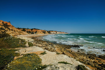 Landscape with Cliff and Dunes at the Beach near Albufeira Portugal in Summer