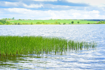 Spring landscape a large lake with areas of rising young cane.