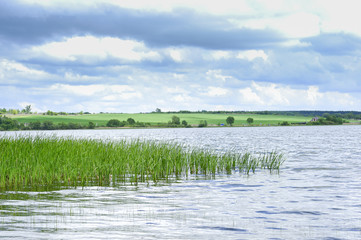 Fototapeta na wymiar Spring landscape a large lake with areas of rising young cane.