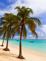 Fototapeta na wymiar White sandy tropical beach with palm trees and blue lagoon on sunny day