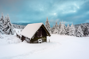 Winter in Moutains 