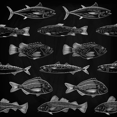 A set of popular sea fish swimming in a different direction. Tuna, cod, dorado, salmon, sea bass, mackerel. Sketch,drawing chalk on a blackboard , vector illustration
