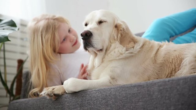 care for pets. A blonde girl strokes her dog with love in the living room. happy golden retriever in the family.