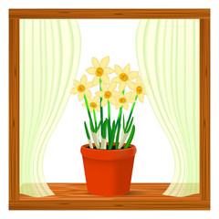 Vector, realistic image of yellow flowers daffodil in a pot in the window on the window sill